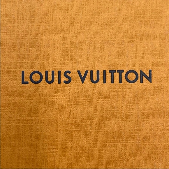 Louis Vuitton clear cube hair Tie with box and dust bag - Picture 10 of 15